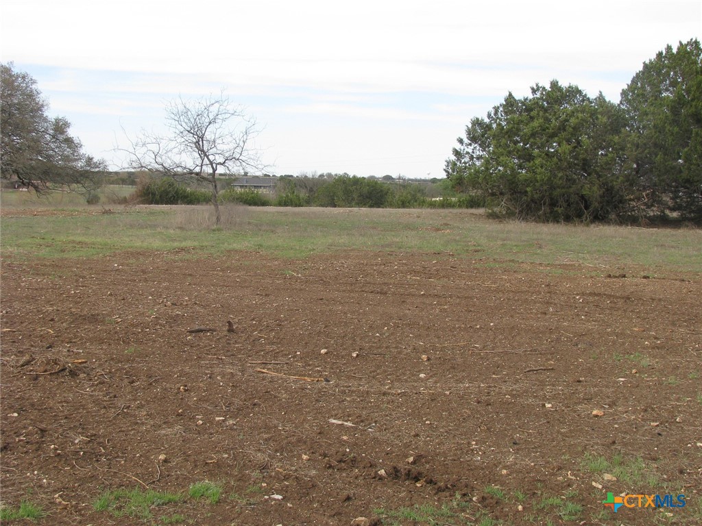 34.12 Acres Tbd Fm-116 Property Photo 18