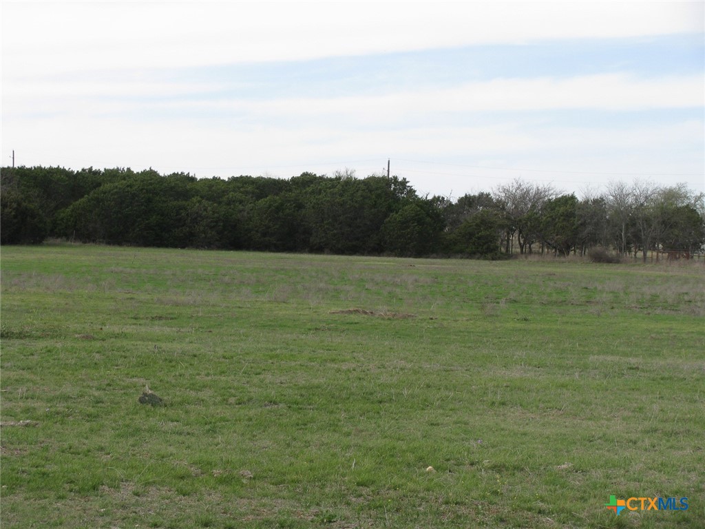 34.12 Acres Tbd Fm-116 Property Photo 19