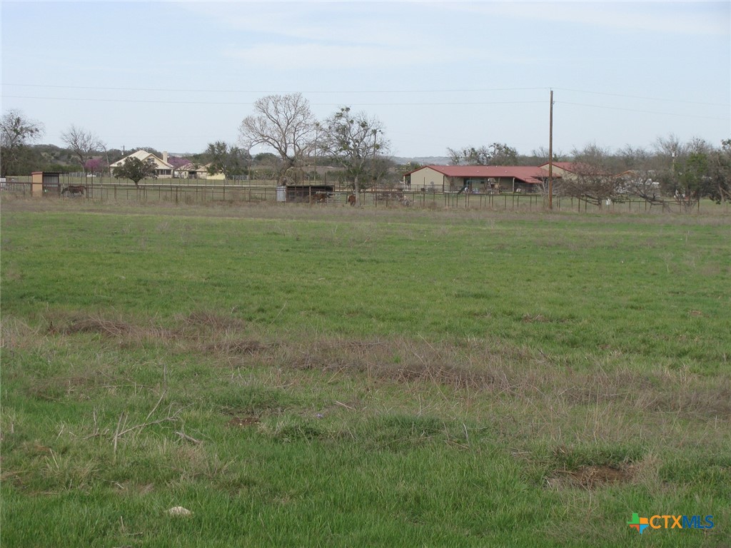 34.12 Acres Tbd Fm-116 Property Photo 22