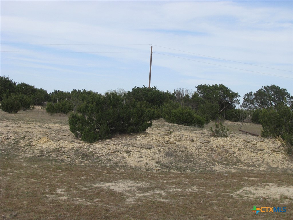 34.12 Acres Tbd Fm-116 Property Photo 23