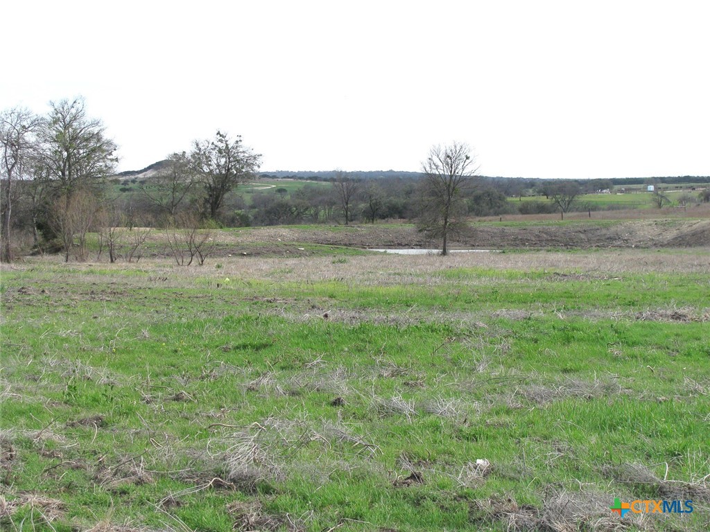 35.72 Acres Tbd Fm-116 Property Photo 3