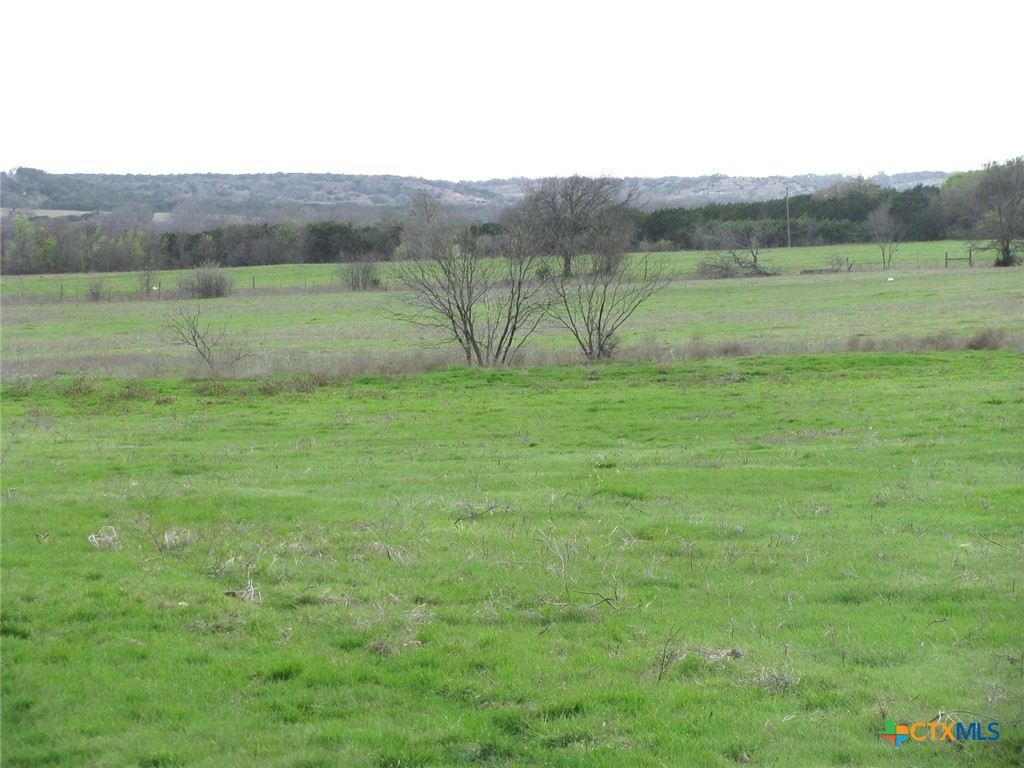 35.72 Acres Tbd Fm-116 Property Photo 5