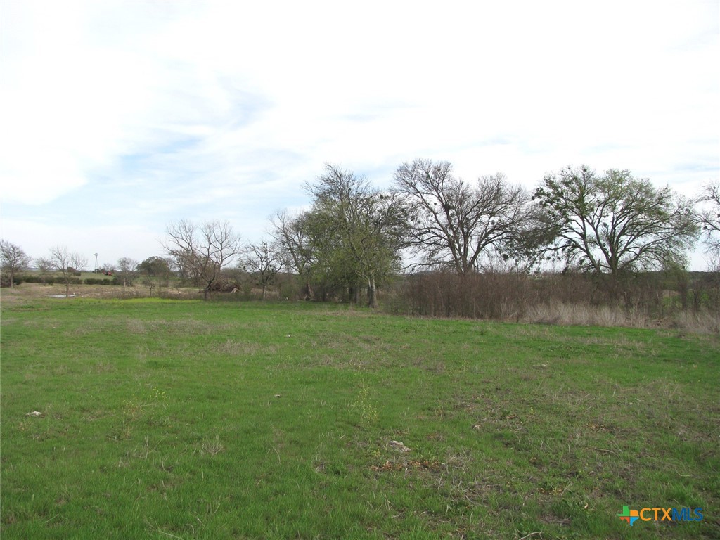35.72 Acres Tbd Fm-116 Property Photo 9