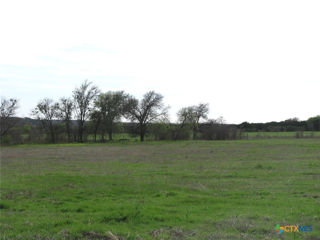 35.72 Acres Tbd Fm-116 Property Photo 11