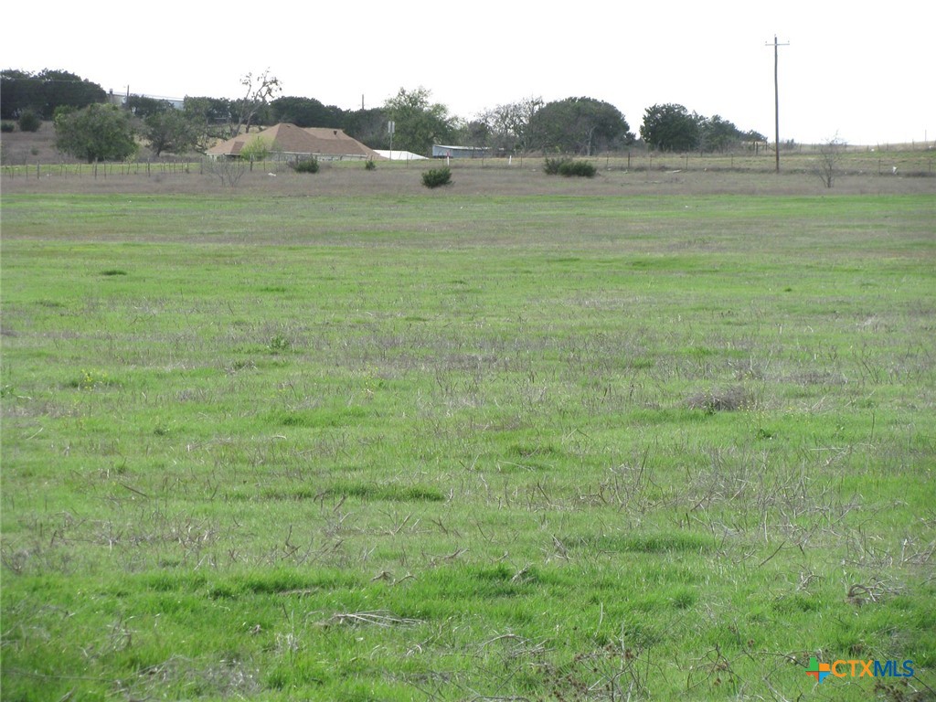 35.72 Acres Tbd Fm-116 Property Photo 12