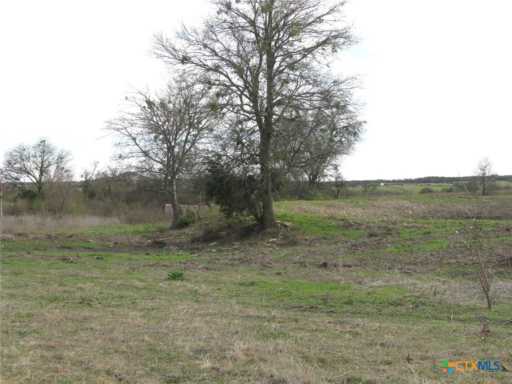 35.72 Acres Tbd Fm-116 Property Photo 14