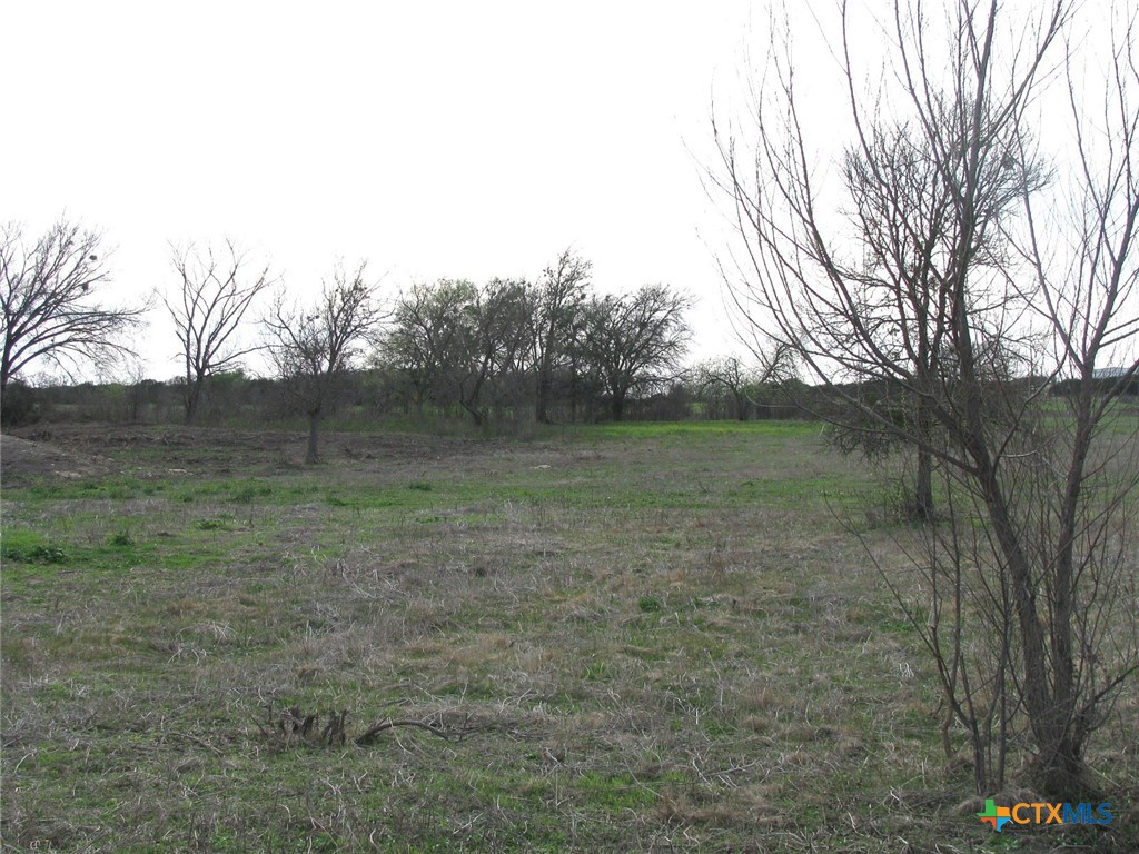 35.72 Acres Tbd Fm-116 Property Photo 15