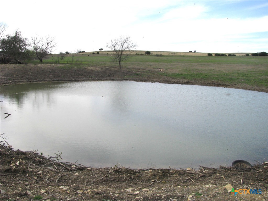 35.72 Acres Tbd Fm-116 Property Photo 16