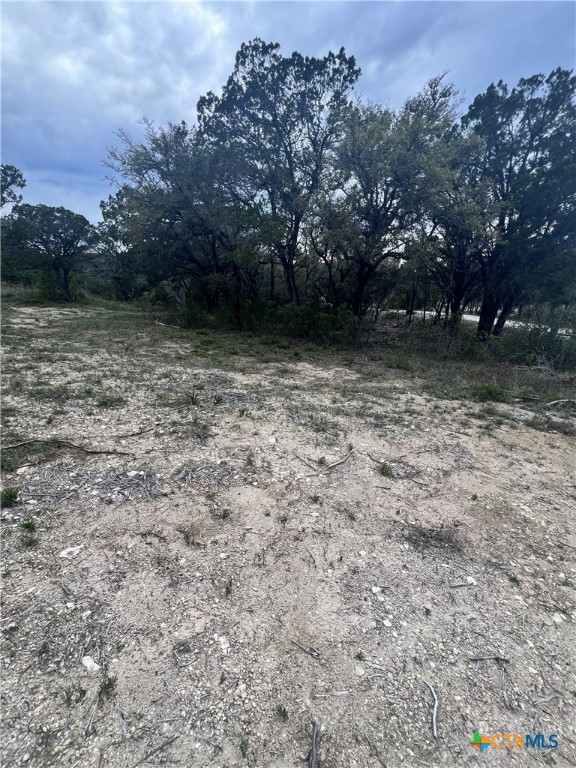 19705 Tyler Trail Property Photo 2