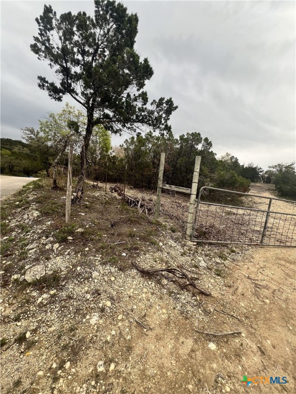 19705 Tyler Trail Property Photo 4