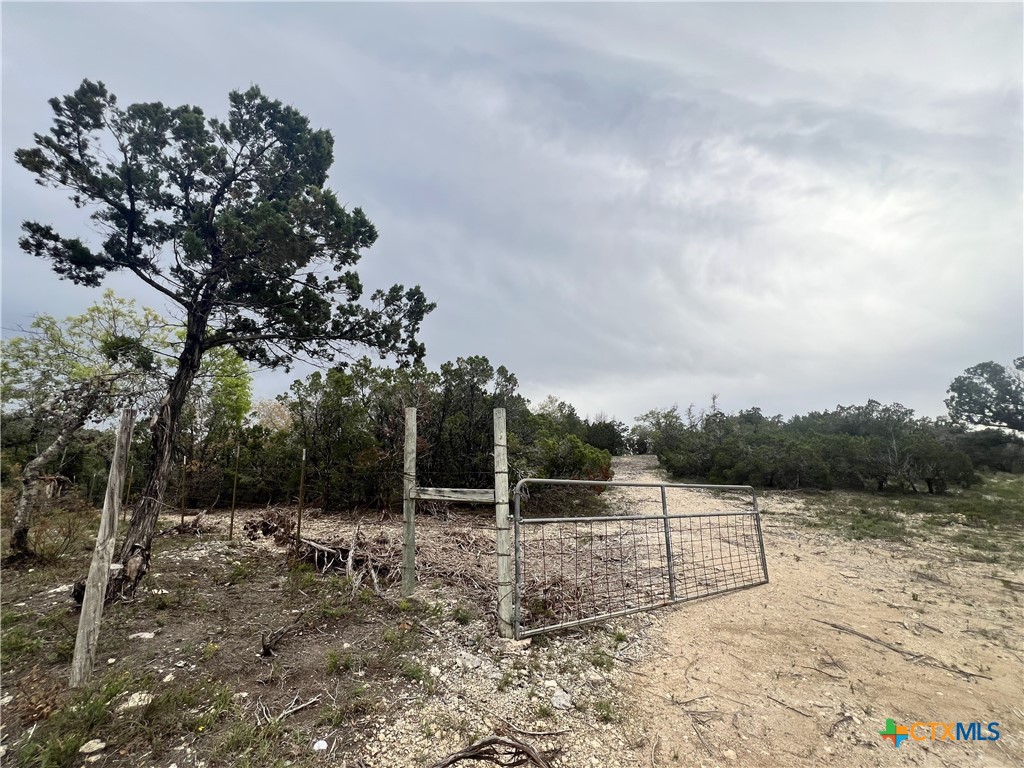19705 Tyler Trail Property Photo 5