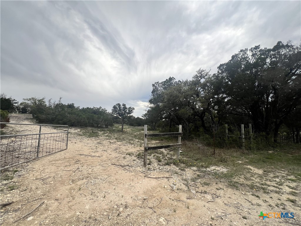 19705 Tyler Trail Property Photo 7