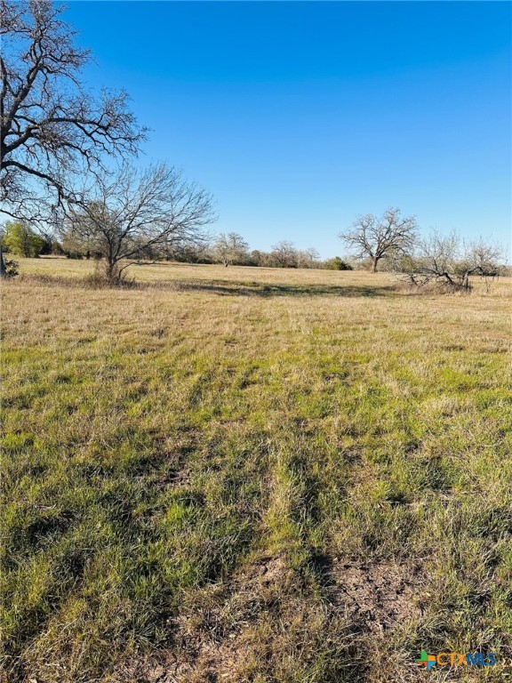 424 Main Loop Road Property Photo 6