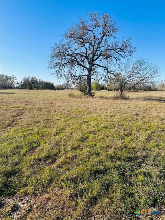424 Main Loop Road Property Photo 7