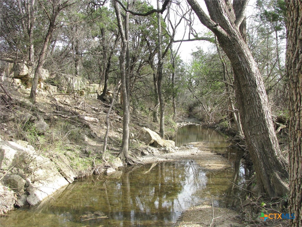 122.64 Acres Tbd Fm-116 Property Photo