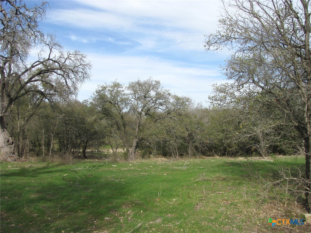 122.64 Acres Tbd Fm-116 Property Photo 7