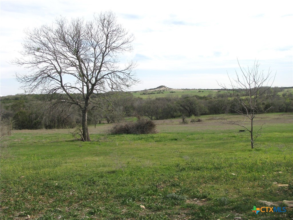 122.64 Acres Tbd Fm-116 Property Photo 8