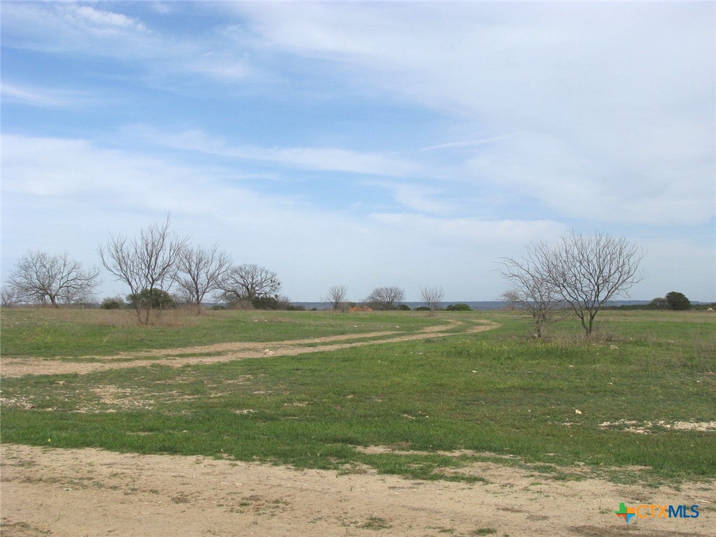 122.64 Acres Tbd Fm-116 Property Photo 10