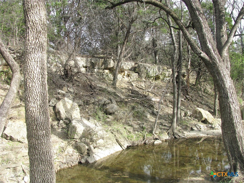 122.64 Acres Tbd Fm-116 Property Photo 11