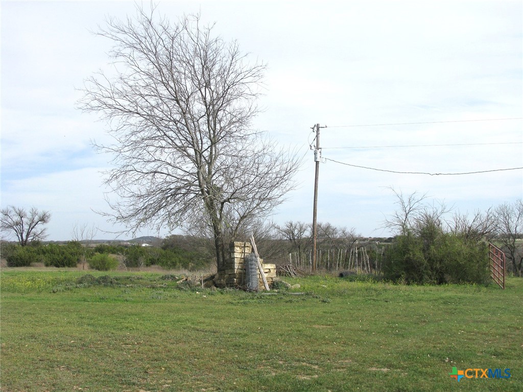 122.64 Acres Tbd Fm-116 Property Photo 12