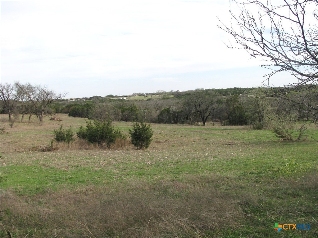 122.64 Acres Tbd Fm-116 Property Photo 13
