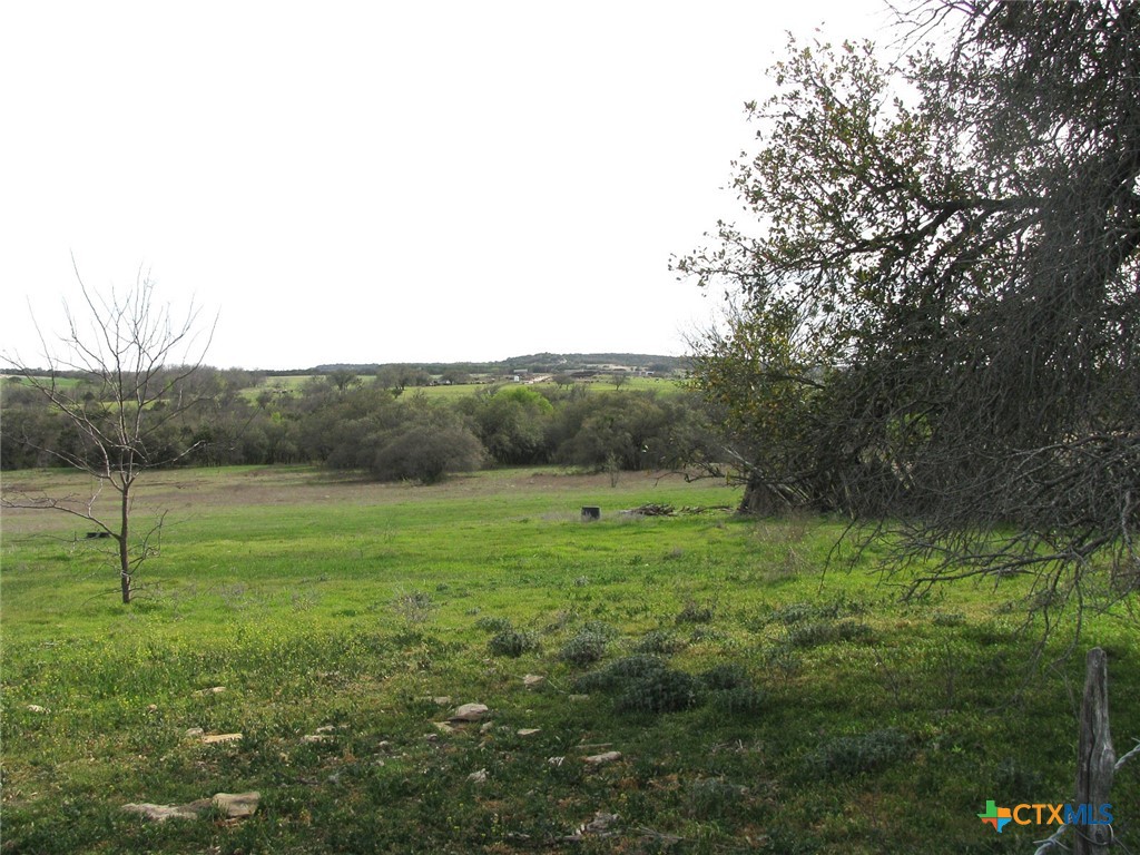 122.64 Acres Tbd Fm-116 Property Photo 14