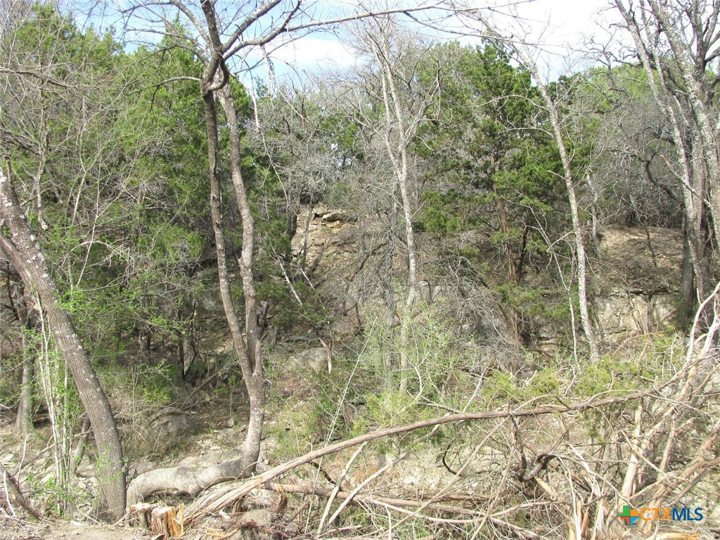 122.64 Acres Tbd Fm-116 Property Photo 15
