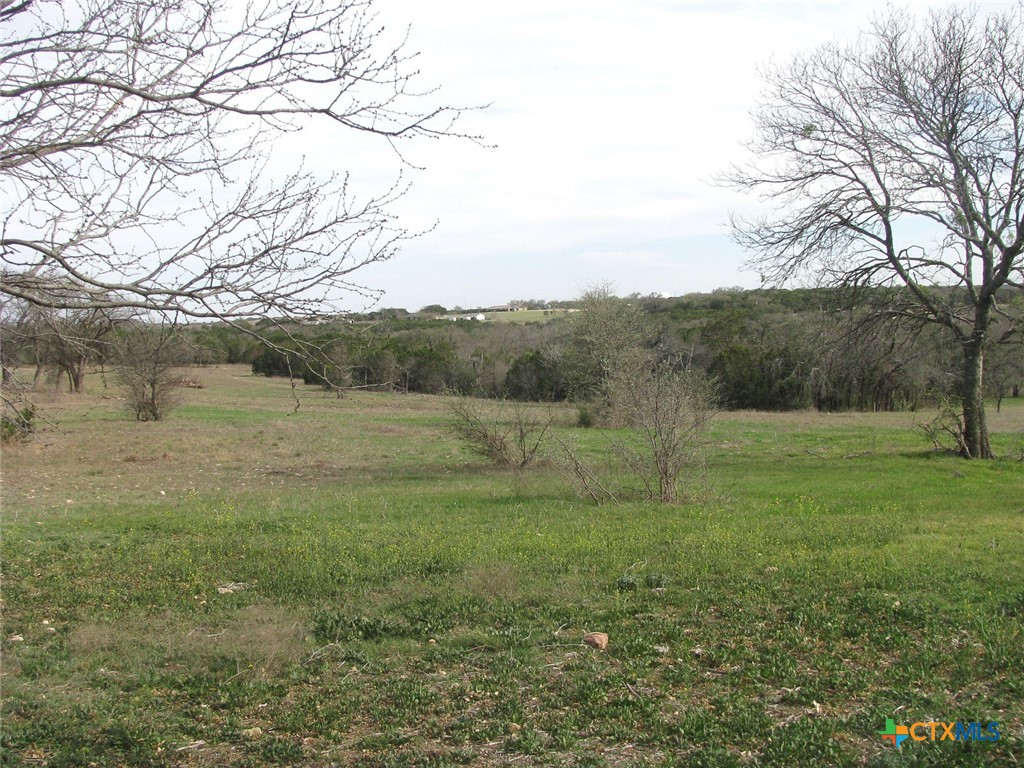 122.64 Acres Tbd Fm-116 Property Photo 16