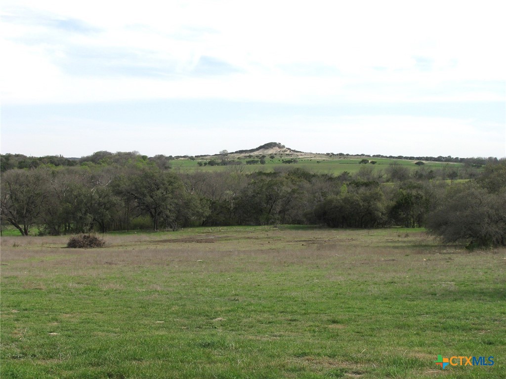 122.64 Acres Tbd Fm-116 Property Photo 18