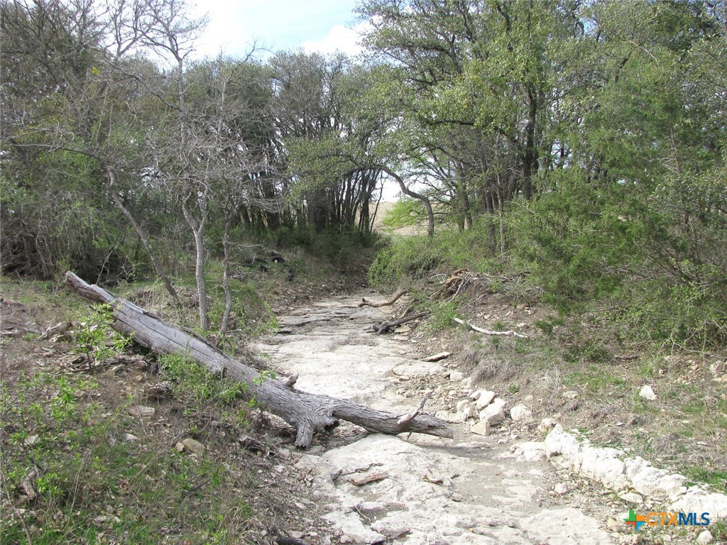 122.64 Acres Tbd Fm-116 Property Photo 20
