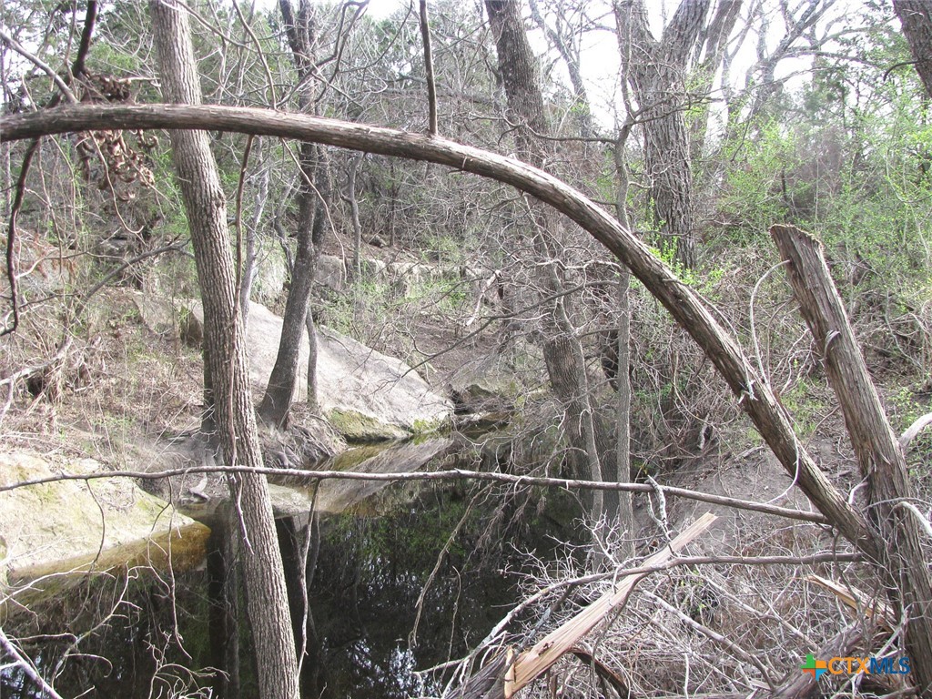 122.64 Acres Tbd Fm-116 Property Photo 21