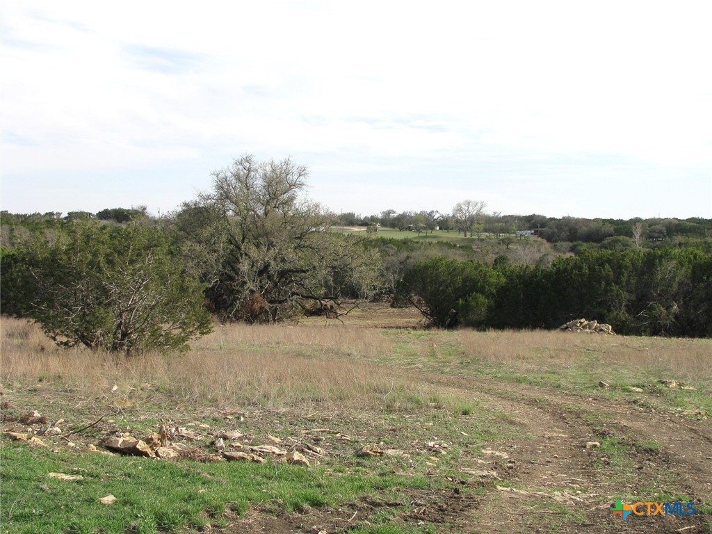 122.64 Acres Tbd Fm-116 Property Photo 22