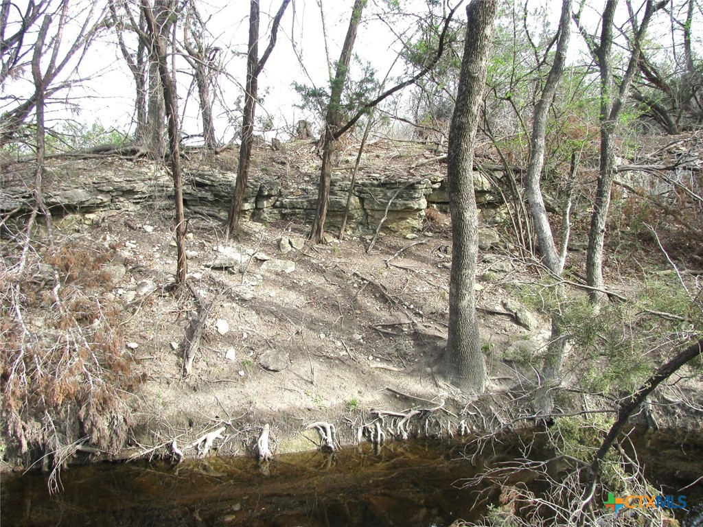 122.64 Acres Tbd Fm-116 Property Photo 23