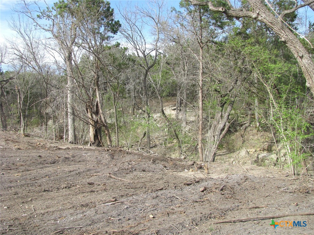 122.64 Acres Tbd Fm-116 Property Photo 25