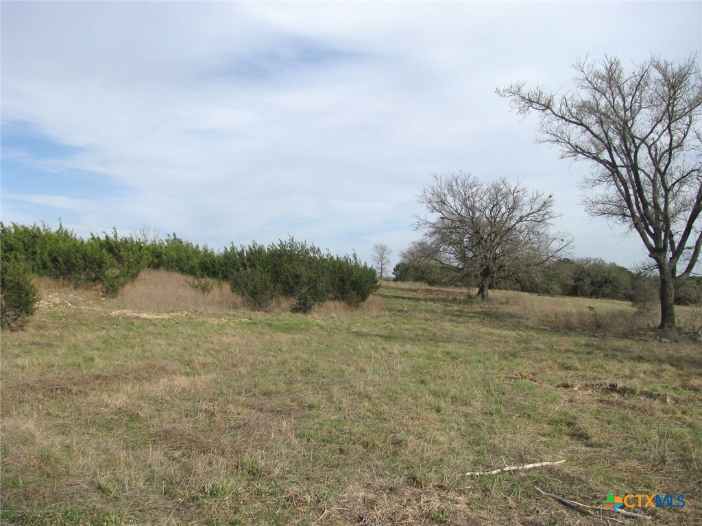 122.64 Acres Tbd Fm-116 Property Photo 26