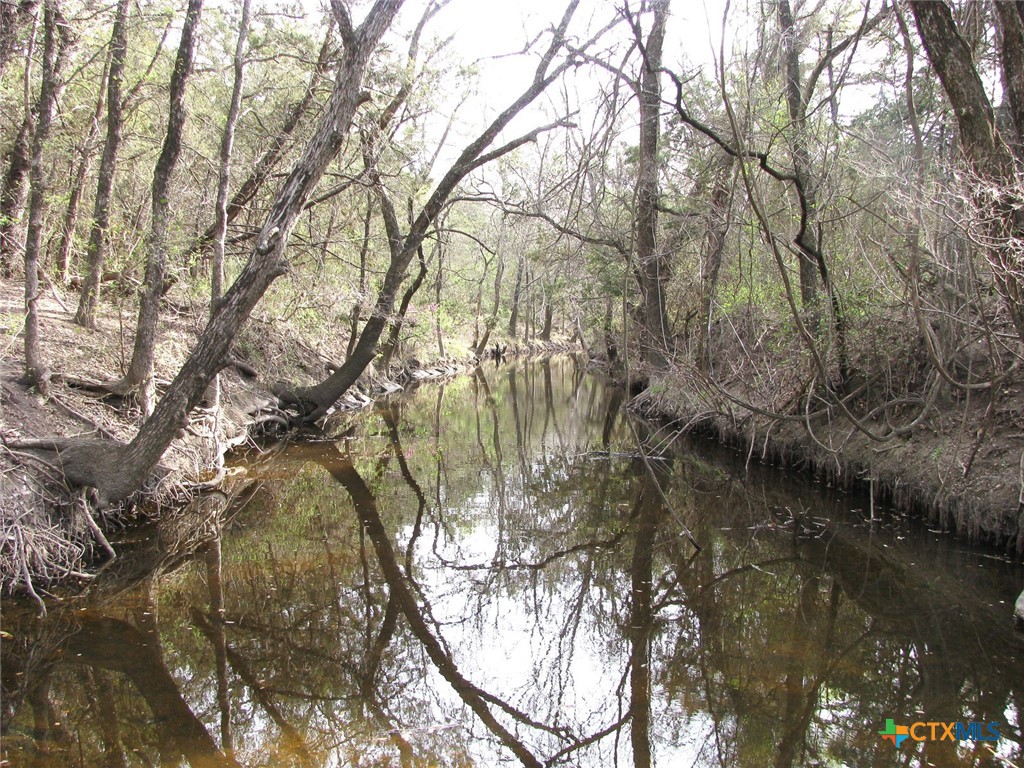 122.64 Acres Tbd Fm-116 Property Photo 29