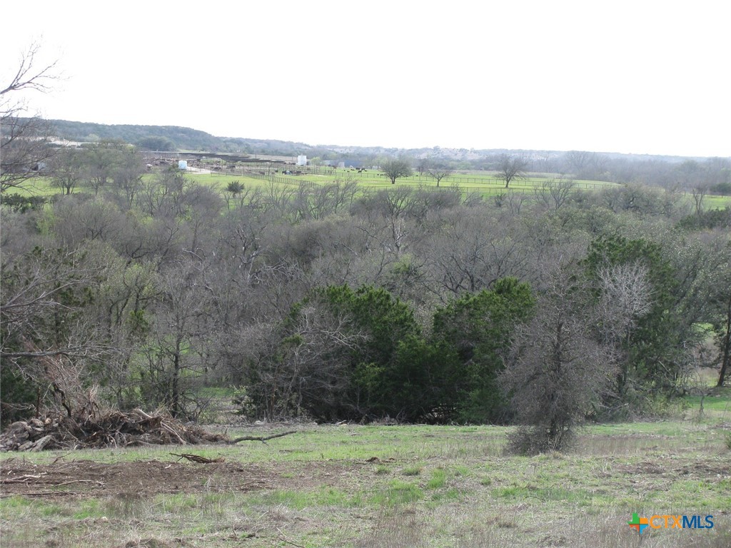 122.64 Acres Tbd Fm-116 Property Photo 31