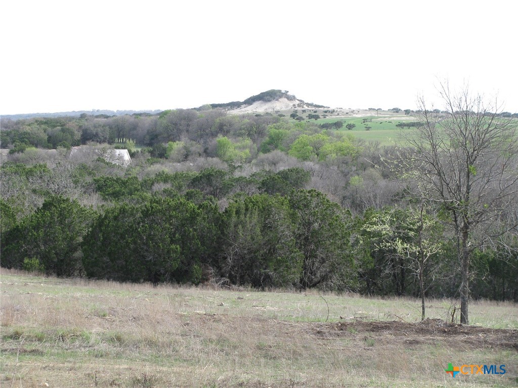 122.64 Acres Tbd Fm-116 Property Photo 32