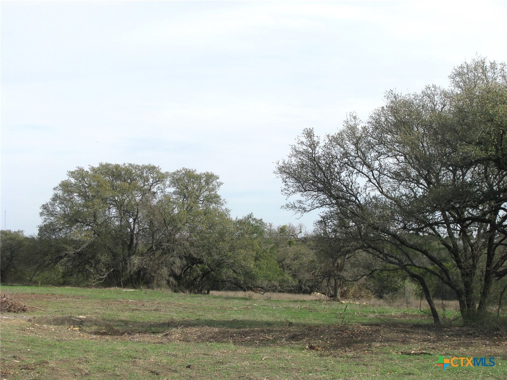 122.64 Acres Tbd Fm-116 Property Photo 33