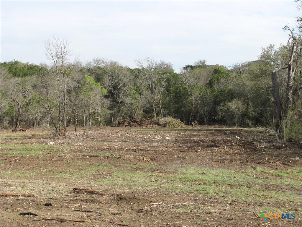 122.64 Acres Tbd Fm-116 Property Photo 34
