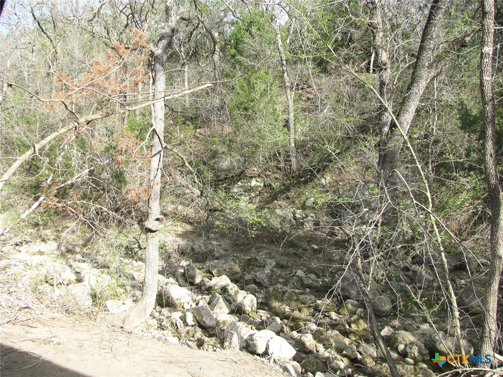 122.64 Acres Tbd Fm-116 Property Photo 35