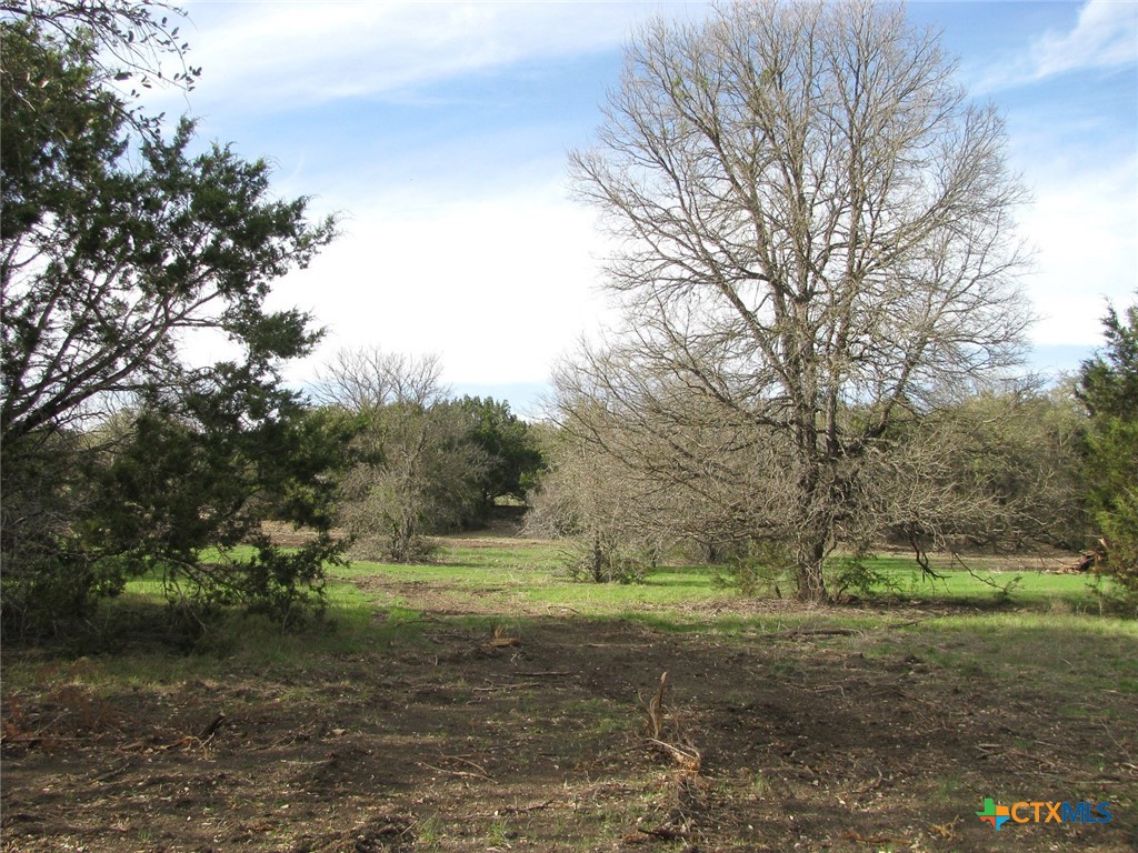 122.64 Acres Tbd Fm-116 Property Photo 36