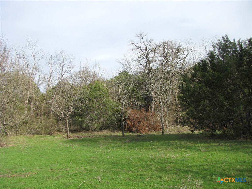 122.64 Acres Tbd Fm-116 Property Photo 37