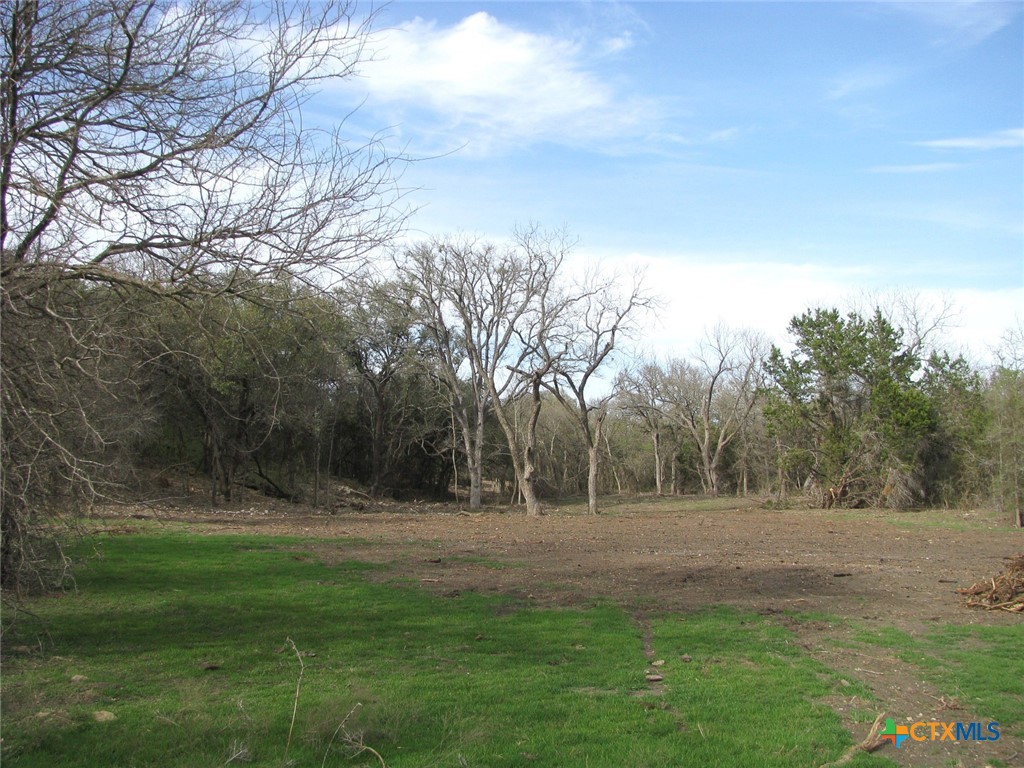 122.64 Acres Tbd Fm-116 Property Photo 38