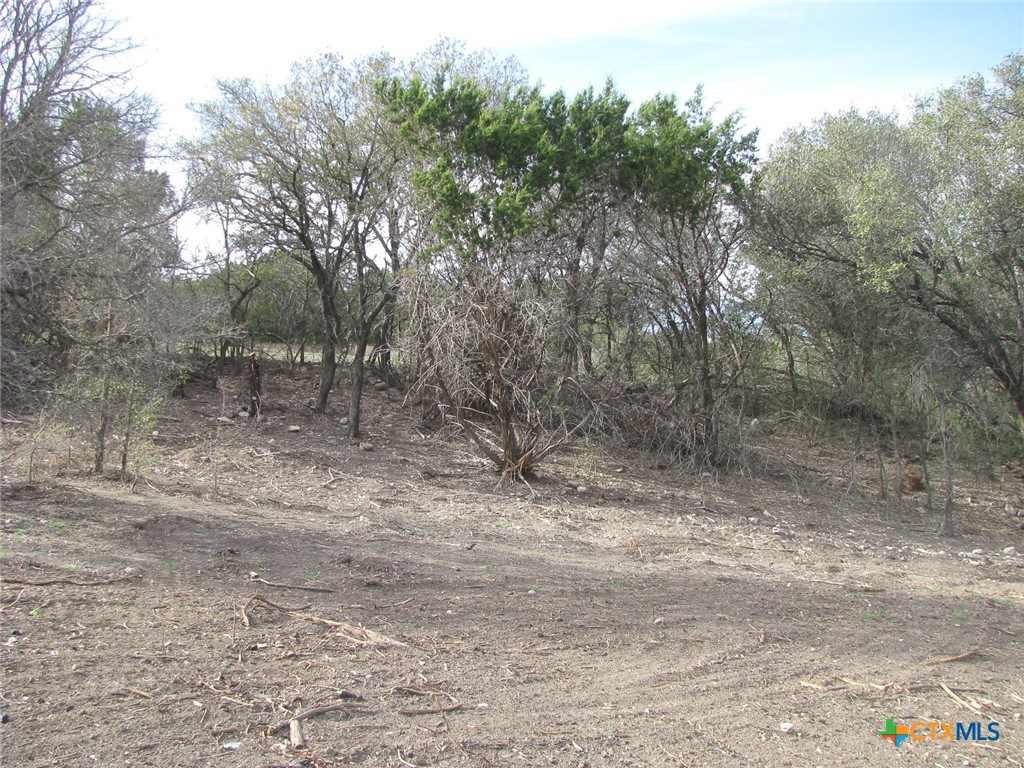 122.64 Acres Tbd Fm-116 Property Photo 39