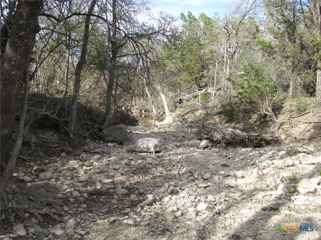 122.64 Acres Tbd Fm-116 Property Photo 40