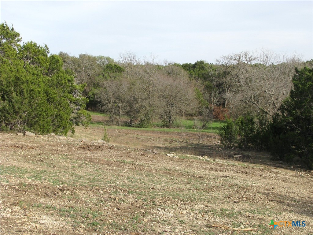 122.64 Acres Tbd Fm-116 Property Photo 41