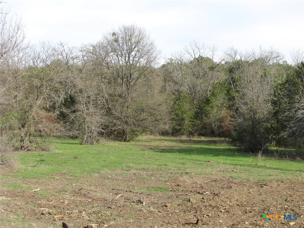 122.64 Acres Tbd Fm-116 Property Photo 42
