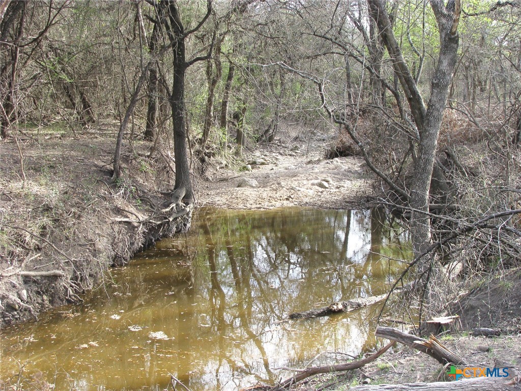 41.67 Acres Tbd Old Georgetown Road Property Photo