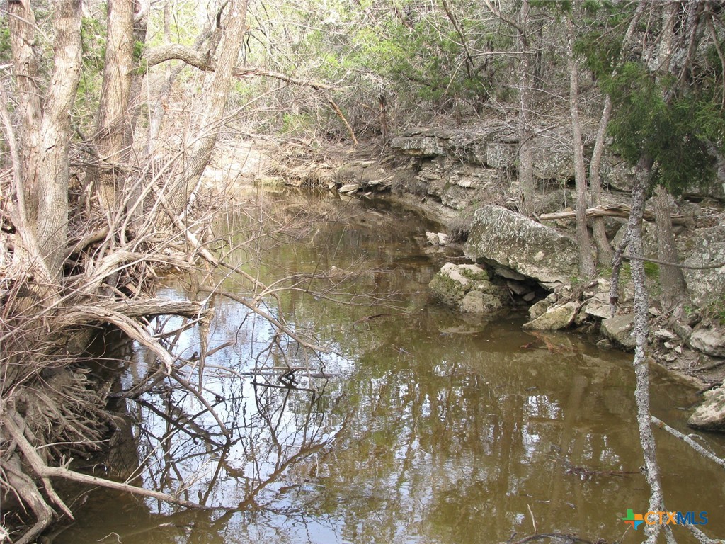 41.67 Acres Tbd Old Georgetown Road Property Photo 2